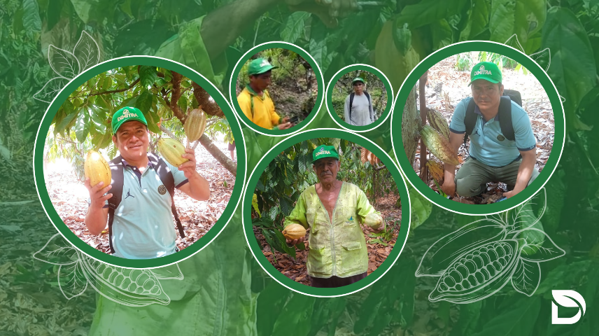 Dimitra and APPCACAO work together to strengthen the cacao industry in Latin America. Source: Dimitra