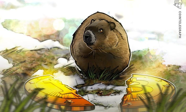 شرط بندی تاریخ نصف شدن بیت کوین در مقابل پیش بینی Groundhog: جنگنده خود را انتخاب کنید