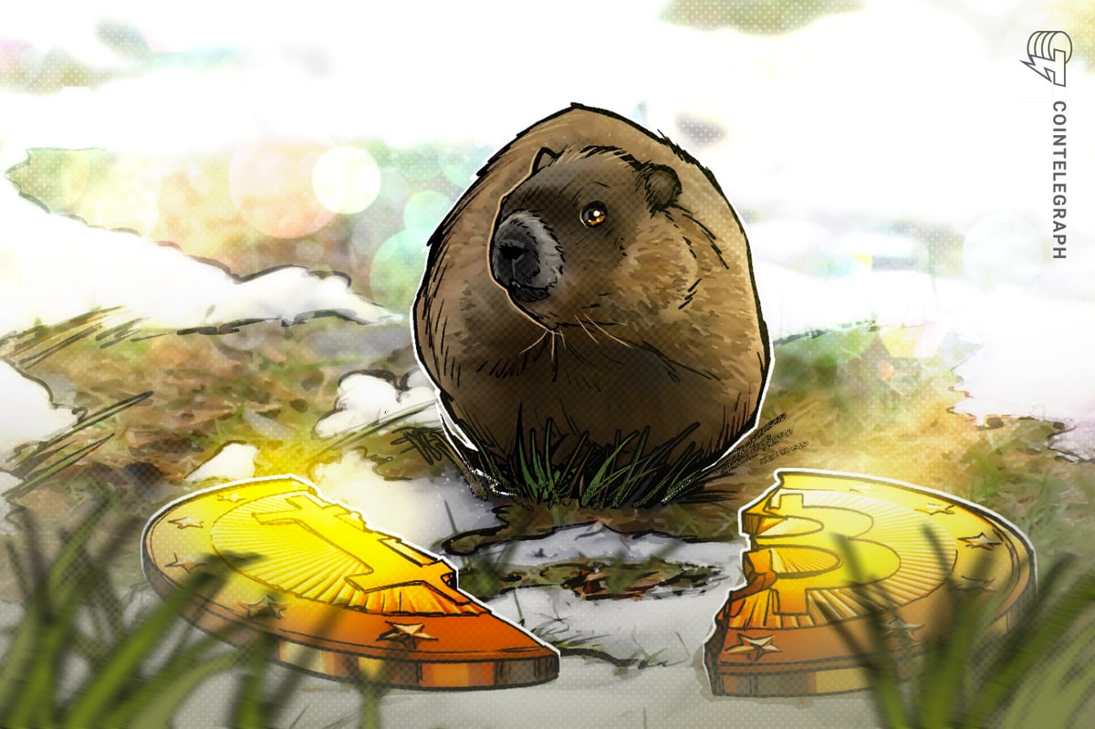 شرط بندی تاریخ نصف شدن بیت کوین در مقابل پیش بینی Groundhog: جنگنده خود را انتخاب کنید