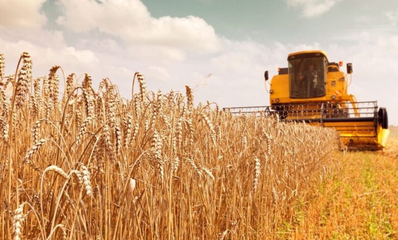 آمادگی ۹۸ مرکز برای خرید ۹۰۰ هزار تُن گندم در استان گلستان
