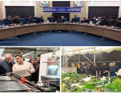 بررسی وضعیت محیط زیستی واحد‌های تولیدی و صنعتی ملارد در بازدید استاندار تهران