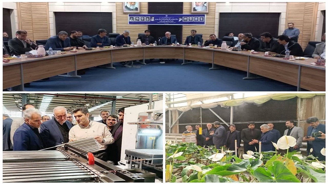 بررسی وضعیت محیط زیستی واحد‌های تولیدی و صنعتی ملارد در بازدید استاندار تهران