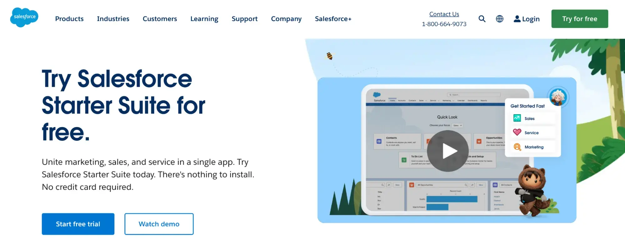 CRM example screenshot of salesforce homepage