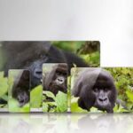 Corning Gorilla Glass 7i برای محافظت از گوشی های مقرون به صرفه و با ارزش در برابر افتادن و خط و خش عرضه شد.