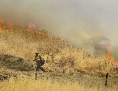 آتش سوزی دربیش از دو هکتار از مراتع تیران و کرون