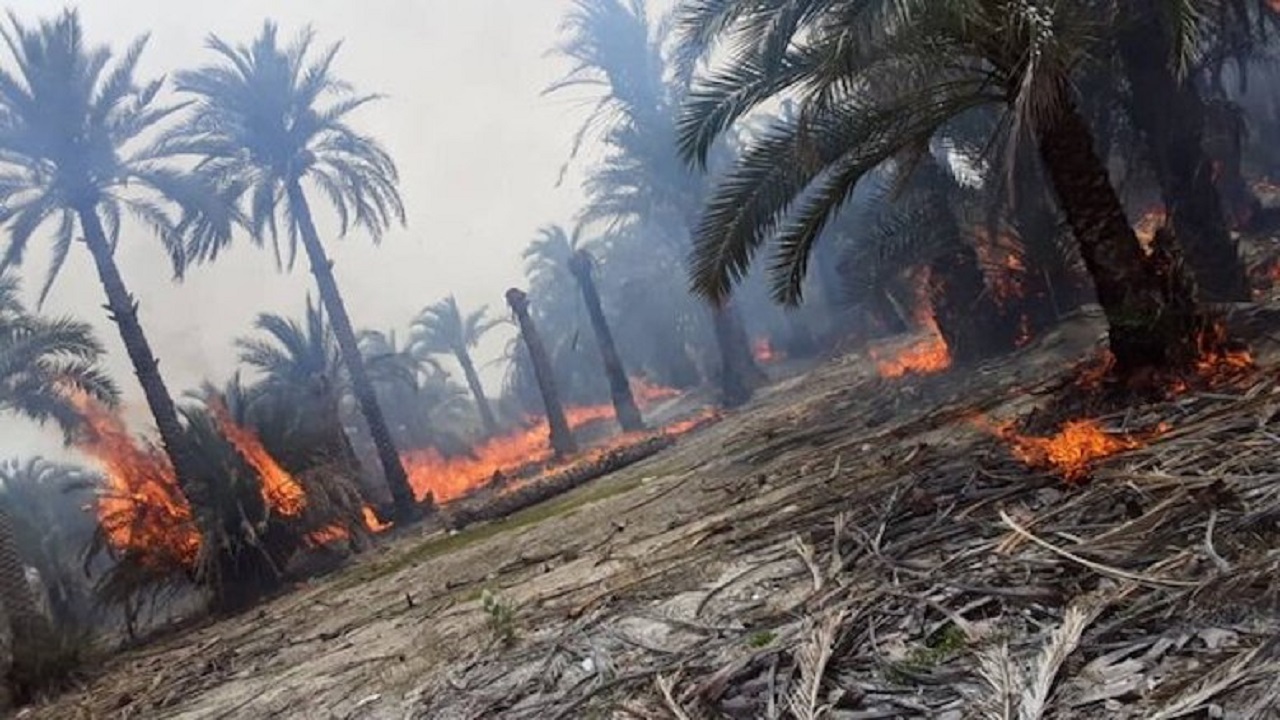 آتش‌سوزی نخیلات در دهستان ابتر به‌موقع مهار شد