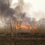 آغاز آتش‌سوزی در بخش عراقی هورالعظیم از ۱۰ روز پیش