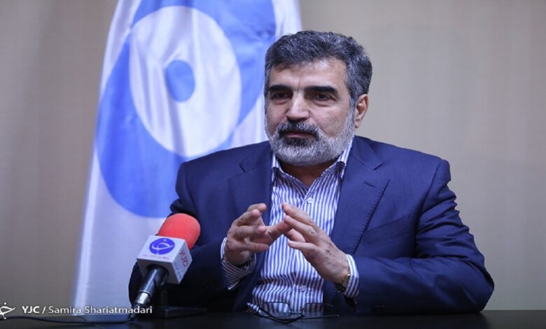 ایران به قطعنامه آژانس بین‌المللی انرژی اتمی پاسخ داد