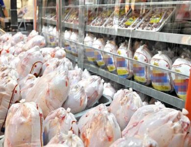 مجوز صادرات گوشت مرغ مازاد صادر شد