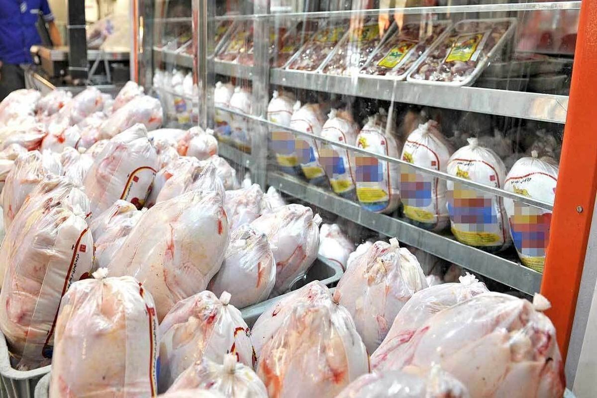 مجوز صادرات گوشت مرغ مازاد صادر شد