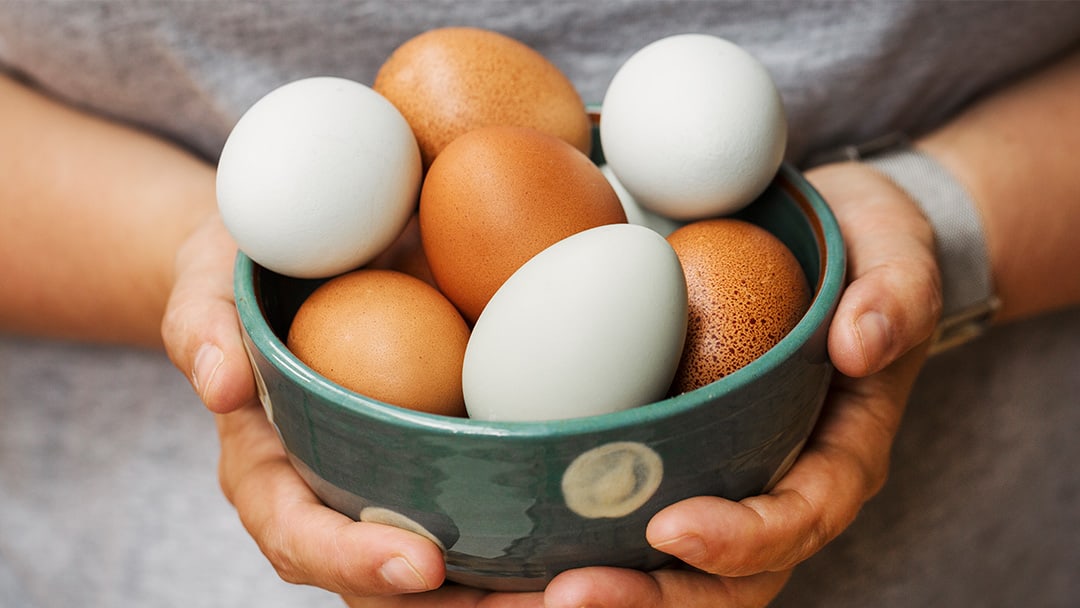 آیا تخم مرغ برای سلامتی مفید است یا خیر؟