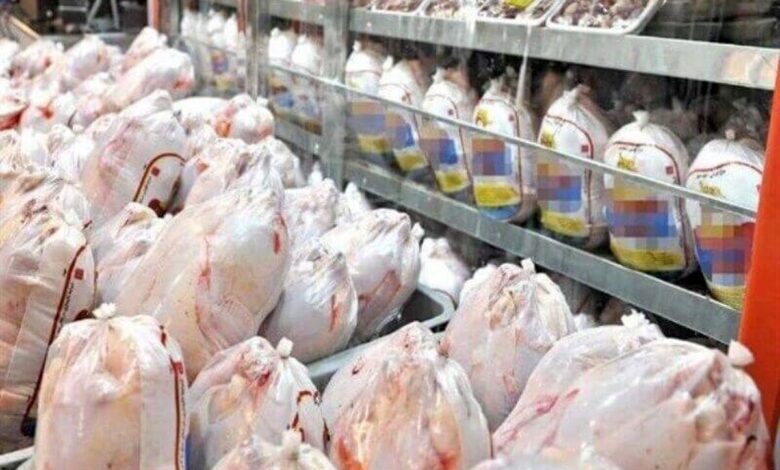 افزایش ۳۴ درصدی عرضه مرغ در خردادماه نسبت به سال قبل