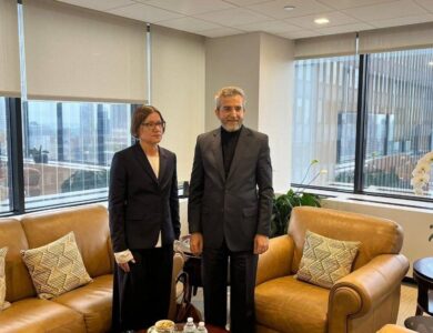 باقری با رئیس کمیته بین المللی صلیب سرخ دیدار کرد