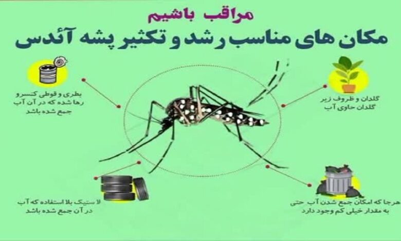موردی از بیماری تب دنگی در استان اصفهان شناسایی نشده است