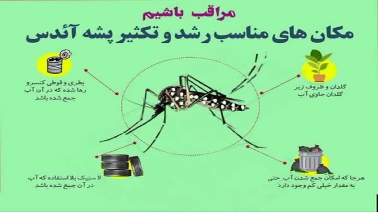موردی از بیماری تب دنگی در استان اصفهان شناسایی نشده است
