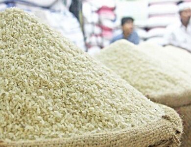 نامه معاون رئیس‌جمهور به مخبر در مورد حذف ارز ترجیحی برنج