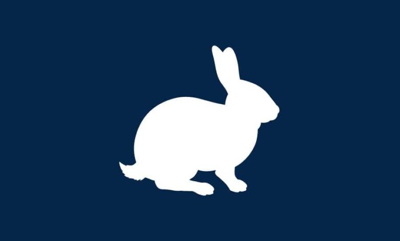 نماد و معنی رویای خرگوش سفید