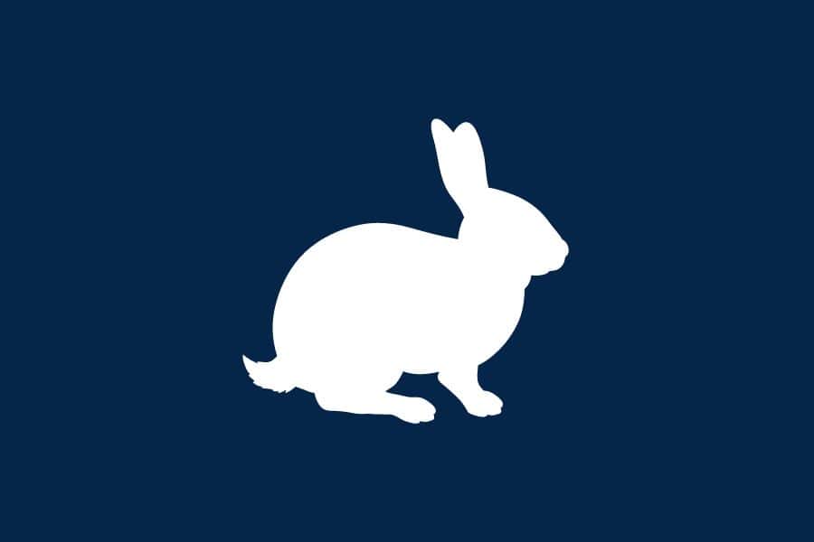 نماد و معنی رویای خرگوش سفید