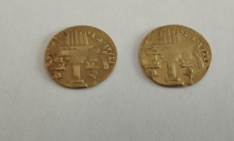 کشف و ضبط ۲ سکه تاریخی در شهرستان شیروان